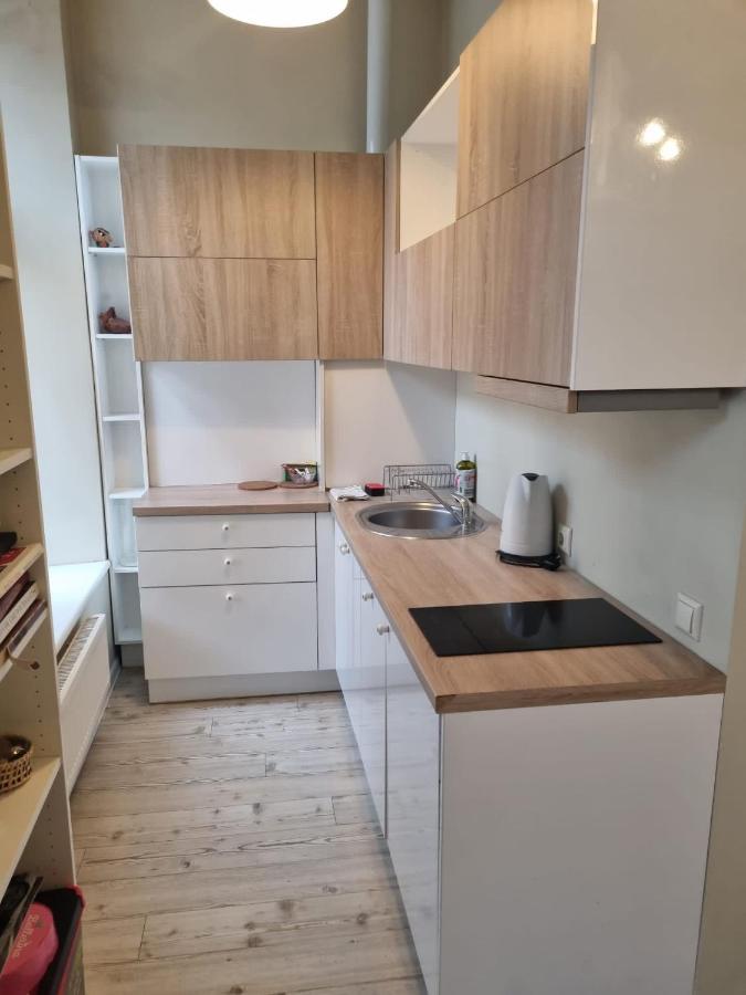 Igo Apartment Uzupis VNO Dış mekan fotoğraf