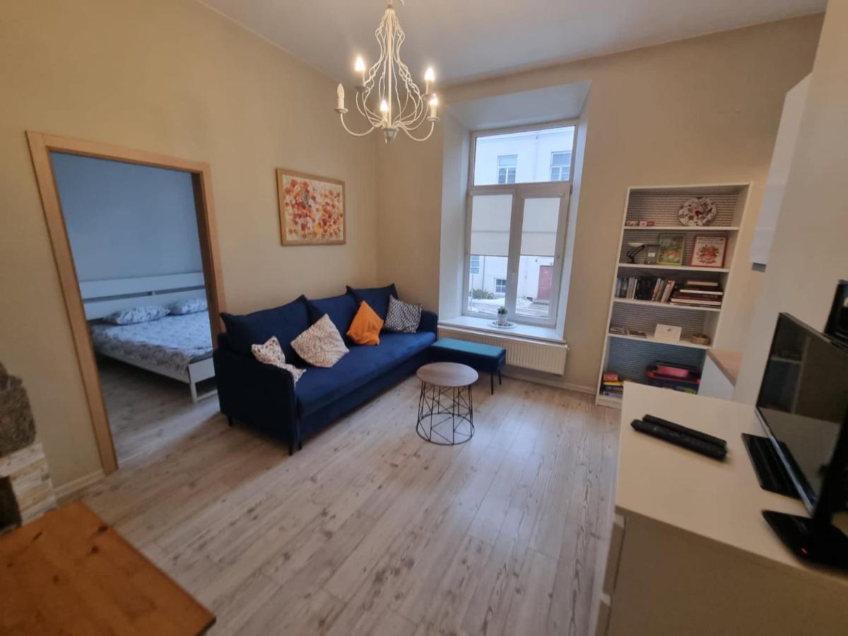 Igo Apartment Uzupis VNO Dış mekan fotoğraf